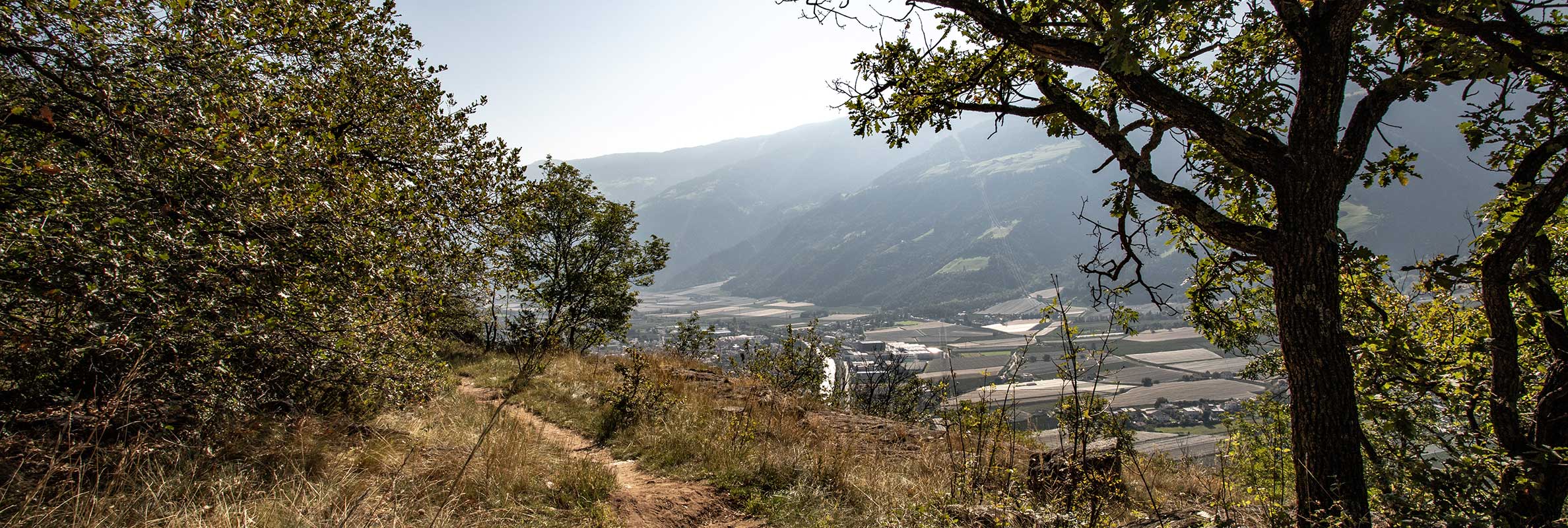 Ferienwohnungen Etschgrund